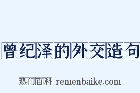曾纪泽的外交造句是什么意思的图片